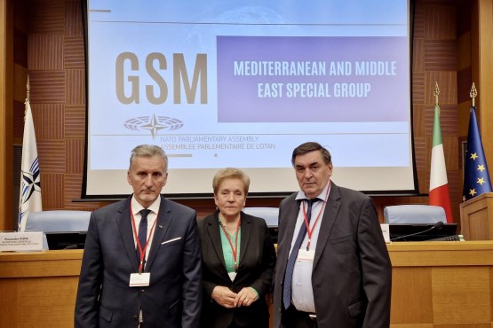 Članovi Izaslanstva PSBiH u PSNATO-a sudjeluju u Rimu na seminaru Specijalne skupine za Mediteran i Bliski istok PSNATO-a
